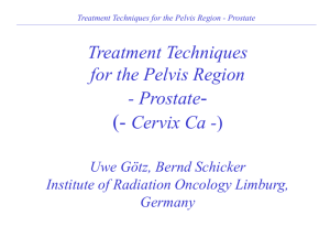 Treatment Techniques for the Pelvis Region