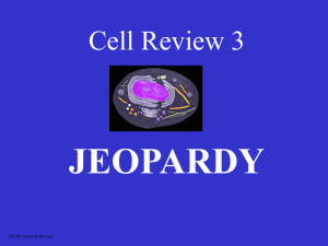 Cell Parts Jeopardy #3 - local.brookings.k12.sd.us