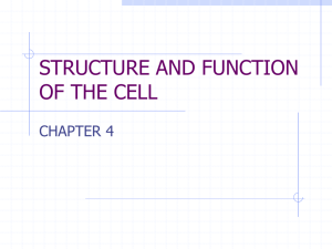 Cell Structure & Function Notes