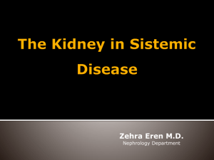 The kidney in sistemic disease 2014