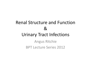 Renal Structure and Function & Urinary Tract Infections