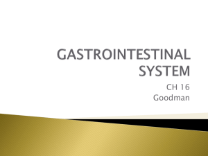 GASTROINTESTINAL SYSTEM