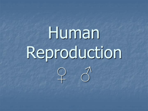 Human Reproduction PowerPoint