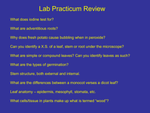 Lab 12 - Practicum Review