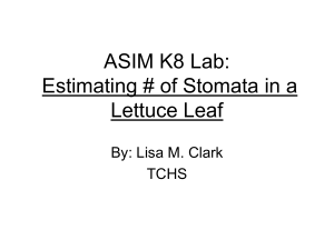 K8 Stomata - asimbiologyplg