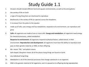 Study Guide 1