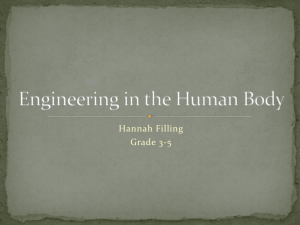 Engineering in the Human Body
