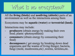 What is an ecosystem?