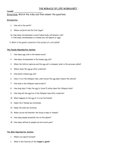 THE MIRACLE OF LIFE WORKSHEET