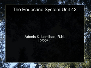 Endocrine System Unit 42