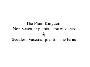 Lecture 9 - Kingdom Plantae: Mosses & Ferns