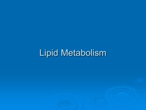 10. Lipid Metabolism