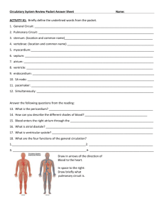 Circulatory System Review Packet Answer Sheet