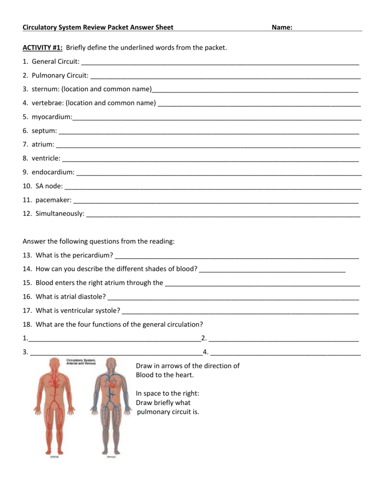 Circulatory System Review Packet Answer Sheet With The Circulatory System Worksheet Answers