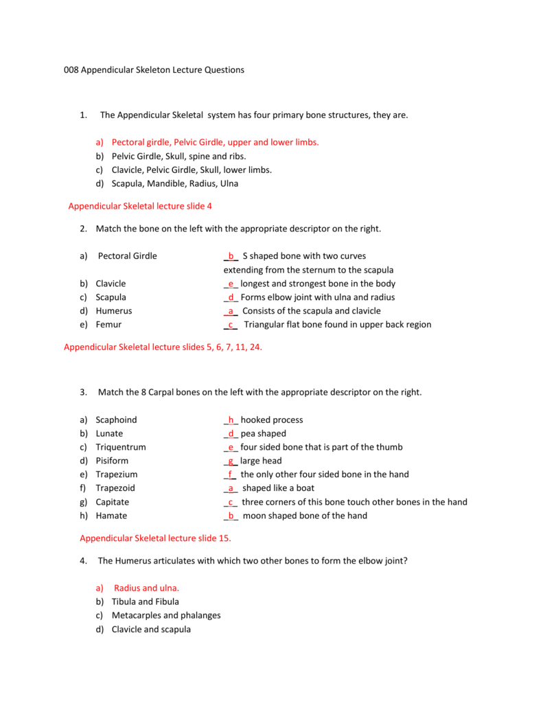 22 Appendicular Skeleton Lecture Questions In Appendicular Skeleton Worksheet Answers