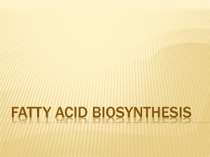 21_fatty-acid-biosynthesis