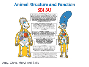 Animal_Structure_and_Function_updated