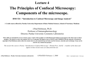 Confocal Microscopy BMS 524 course 1997