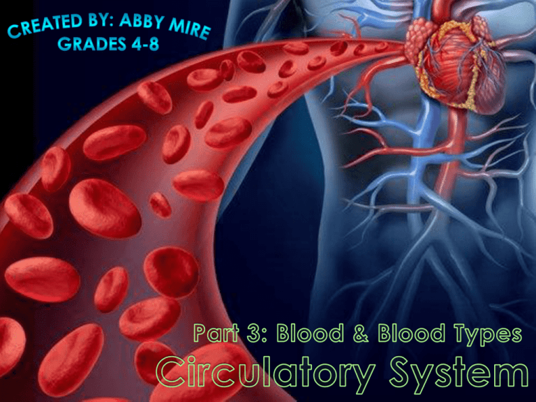 Circulatory System Part 3 Powerpoint