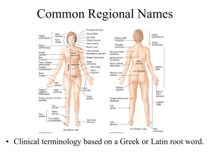 Common Regional Names