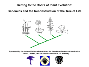 Getting to the Roots of Plant Evolution: Genomics