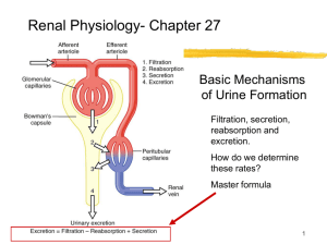 21-renal physiology