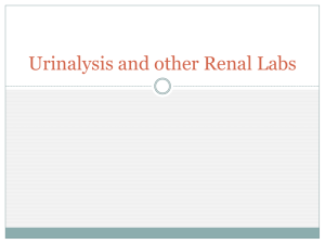 Urinalysis and other Renal Labs