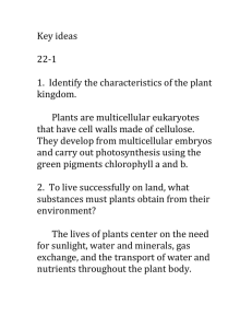 Key ideas for plants - Valhalla High School