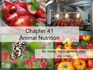 Chapter 41 Animal Nutrition