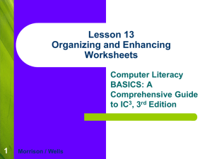 Lesson 18 Organizing and Enhancing Worksheets - ICT-IAT