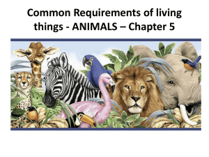 Requirements of Animals Ch 5 Pt A 2014 - SandyBiology1-2