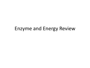 Enzyme and Energy Review