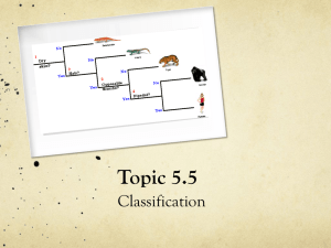 5.5_Classification
