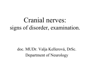 cranial nerve palsy