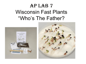Wisconsin Fast Plants