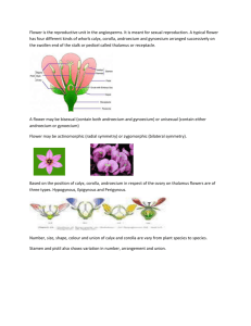 Flower is the reproductive unit in the angiosperms. It is meant for