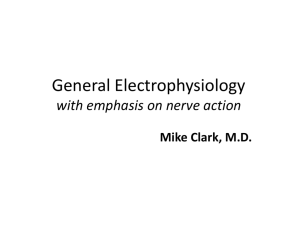 General_Electrophysiology