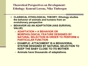Theory PowerPoint