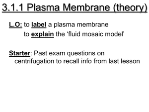 3.1.1 Plasma Membrane (theory)