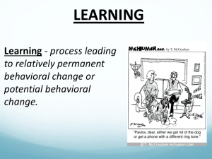 Learning - Powerpoint (updated)