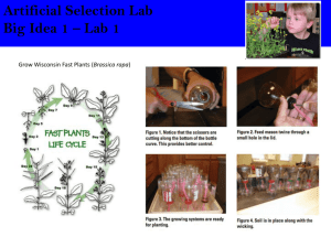 Artificial Selection Lab Big Idea 1