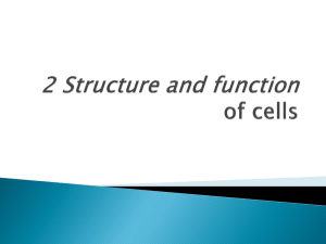 2 Structure and function of cells