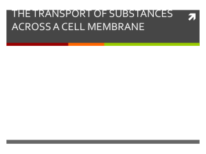 THE TRANSPORT OF SUBSTANCES ACROSS A CELL MEMBRANE