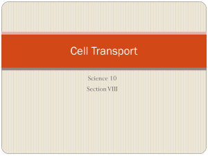 Cell Transport - Blackgold Moodle