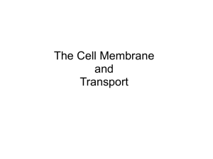 Cell membrane and transport
