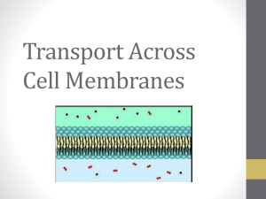 Transport Across Cell Membranes - Mr. Lesiuk