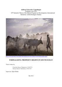 formalizing property rights in south sudan
