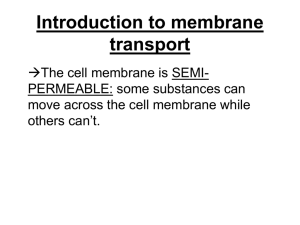 Introduction to membrane transport