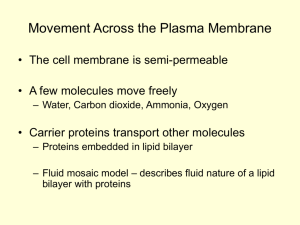 Movement Across the Plasma Membrane