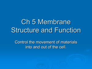 Ch 5 Membrane Structure and Function